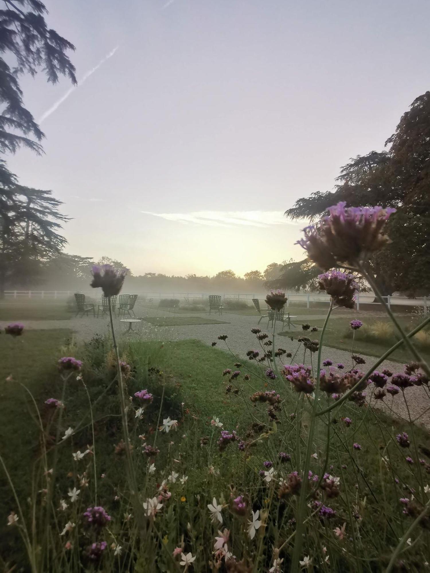 Domaine De L'Ecorcerie Hotel Fontaine-le-Comte Buitenkant foto
